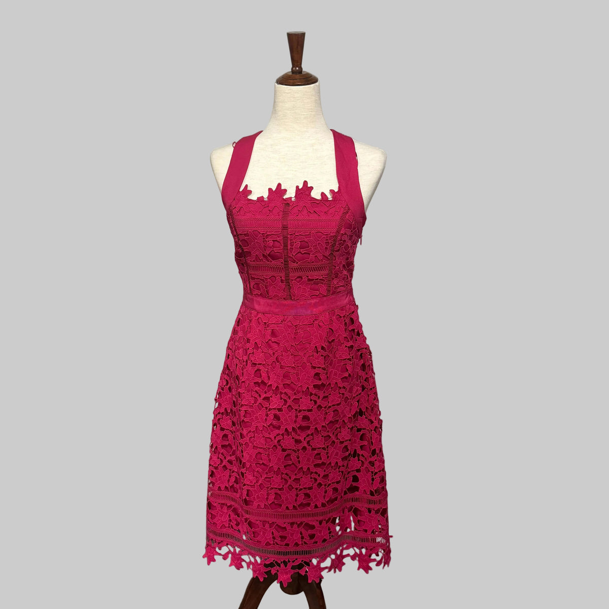 HD in Paris Mulberry Tea Length Lace Dress