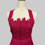 HD in Paris Mulberry Tea Length Lace Dress