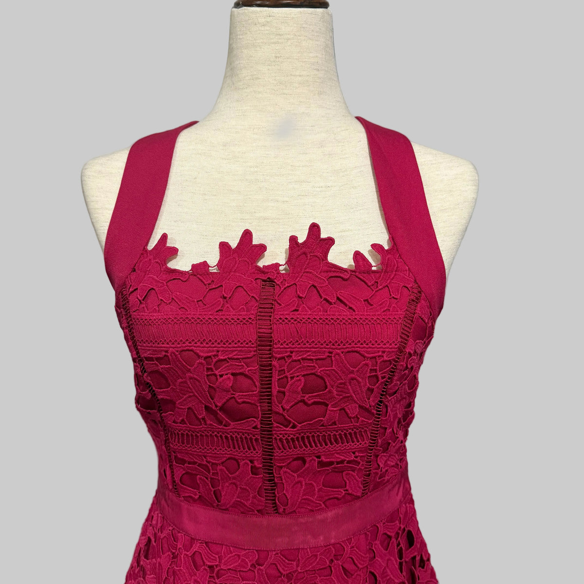 HD in Paris Mulberry Tea Length Lace Dress