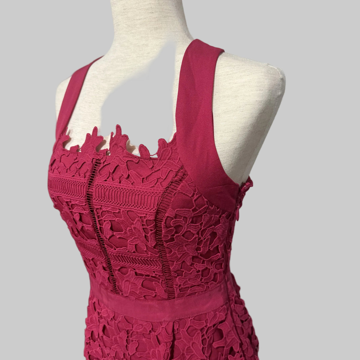 HD in Paris Mulberry Tea Length Lace Dress