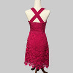 HD in Paris Mulberry Tea Length Lace Dress