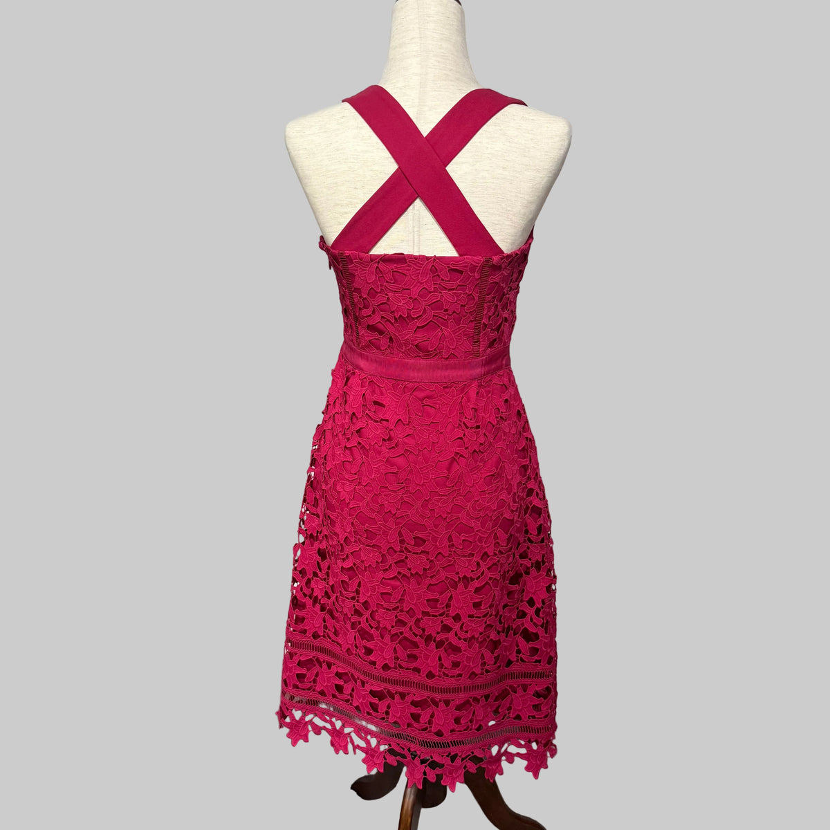 HD in Paris Mulberry Tea Length Lace Dress