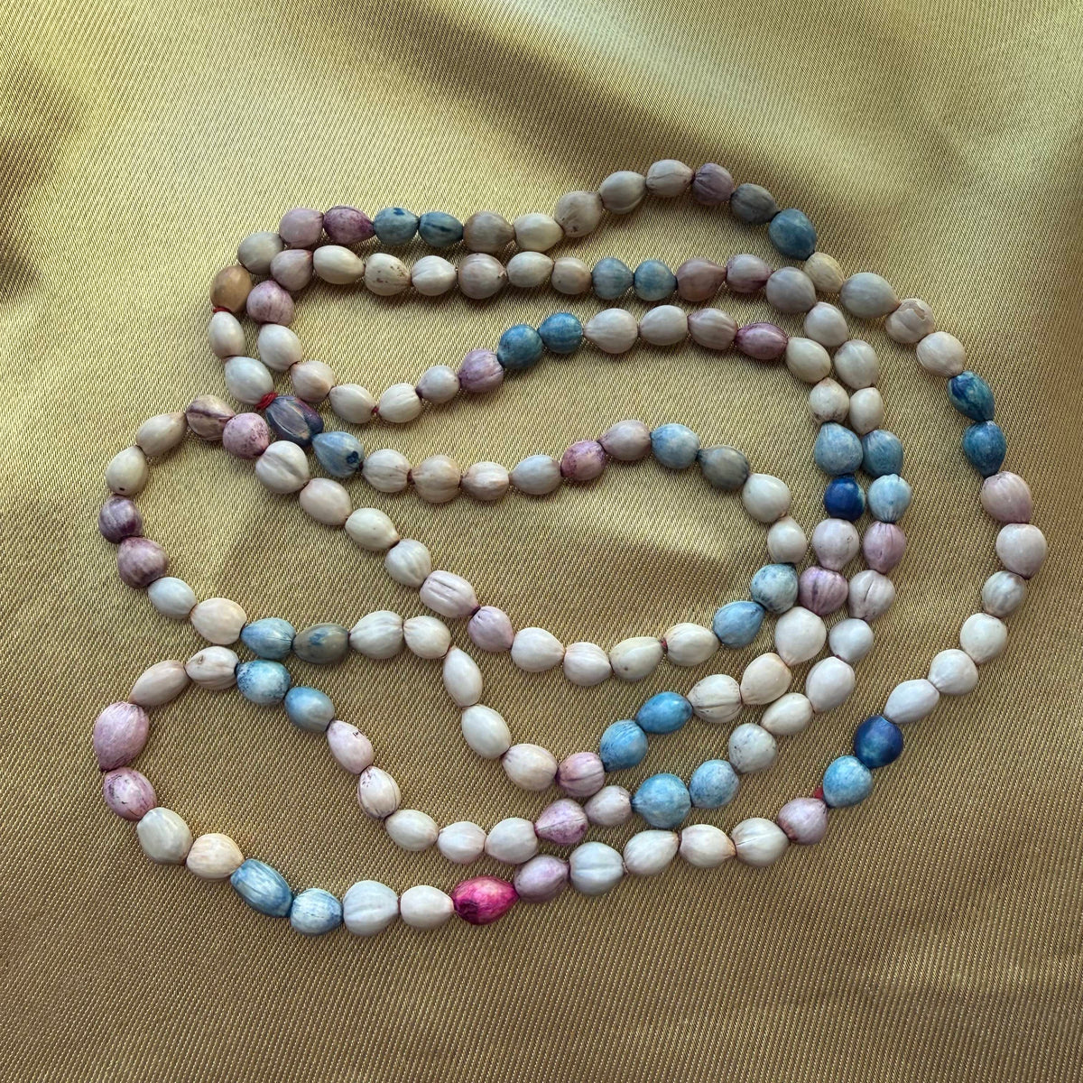 Dyed Seed Pod Necklace