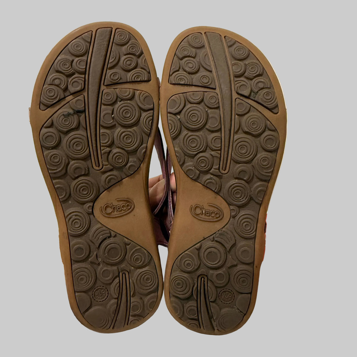 Chaco | Violet Quartz Sofia Sandal